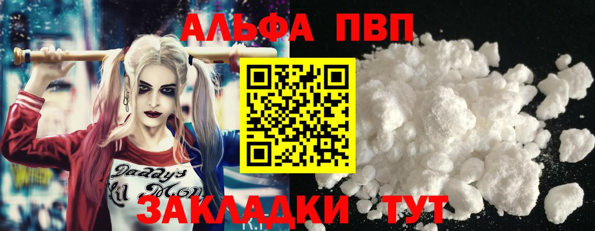 Alfa_PVP СК КРИС Курчалой