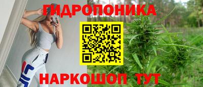эйфоретик Кинель