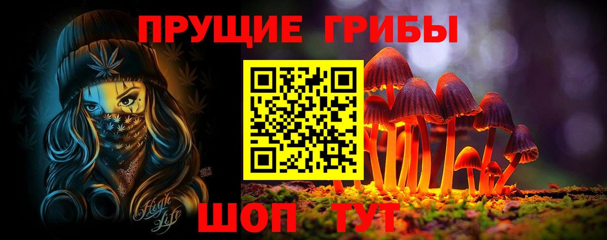 Галлюциногенные грибы Cubensis Курчалой