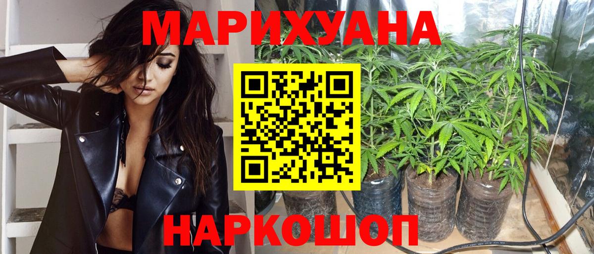 Бошки марихуана конопля  Вход с VPN  Марихуана White Widow  Курчалой  МАРИХУАНА сатива 
